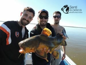 160812 DORADOS DE ESQUINA CORRIENTES PABLO DI SANTI23