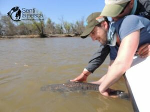 160812 DORADOS DE ESQUINA CORRIENTES PABLO DI SANTI28