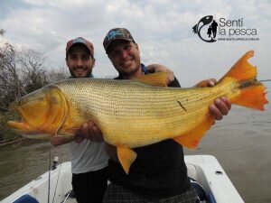 160812 DORADOS DE ESQUINA CORRIENTES PABLO DI SANTI9