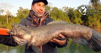160825 PESCA EN BRASIL dest