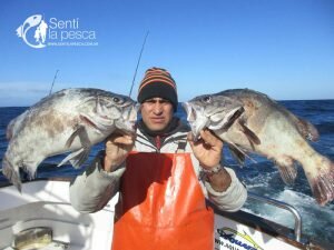 160829 JORNADA DE ALTURA MDQ1