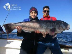 160829 JORNADA DE ALTURA MDQ2
