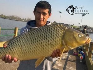 160830 BOGAS EN EL PEJERREY CLUB12