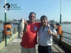 160830 BOGAS EN EL PEJERREY CLUB16