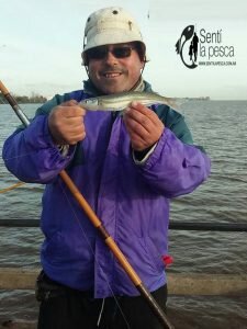 160830 PIQUE MUELLE UNIVERSITARIO2