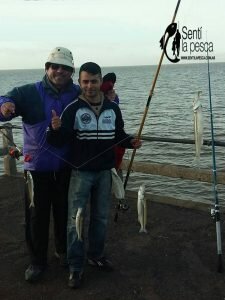 160830 PIQUE MUELLE UNIVERSITARIO3