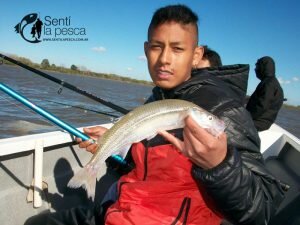 10906 EMBARCADOS EN BERISSO3
