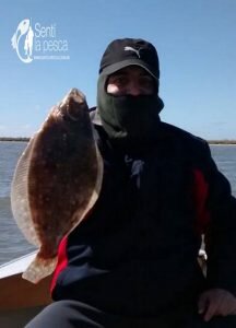 160509 CHATOS EN ALBUFERA2