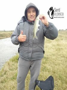 160905 PEJES EN CANAL 5