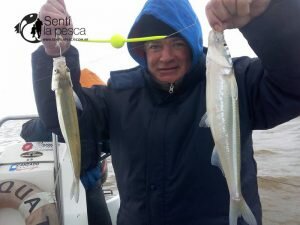 160905 PEJES EN ZONA DE QUILMES