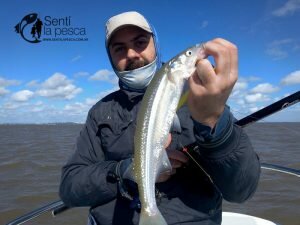 160905 PEJES EN ZONA DE QUILMES2