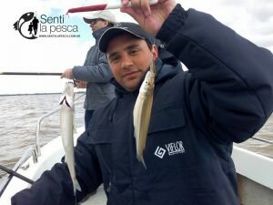 160905 PEJES EN ZONA DE QUILMES7