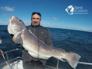 160905 PESCA DE ALTURA EN MDQ