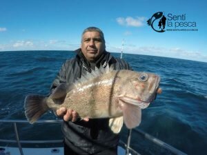 160905 PESCA DE ALTURA EN MDQ2
