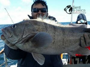 160905 PESCA DE ALTURA EN MDQ7