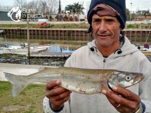160905 PIQUE EN EL RIOPLA3