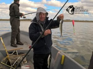 160908 PIQUE EN GUAMINI2