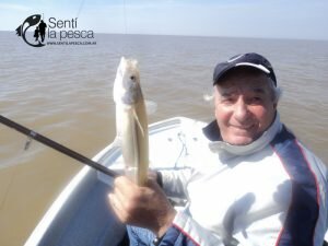 160912 INFORME RIOPLA ZONA NORTE (4)
