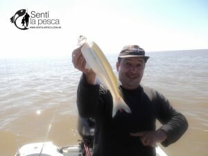 160912 INFORME RIOPLA ZONA NORTE (7)