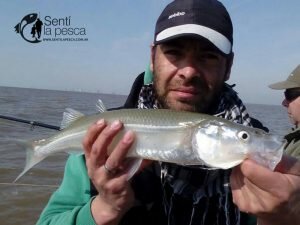 160912 JORNADA EMBARCADA RIO DE LA PLATA6