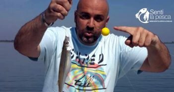 160912 PEJES EN CHIS CHIS dest