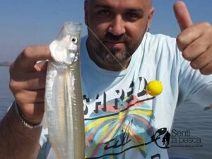 160912 PEJES EN CHIS CHIS3