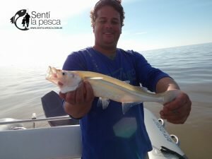 160913 PEJES EMBARCADOS EN EL RIOPLA5