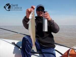 160913 PEJES EMBARCADOS EN EL RIOPLA8