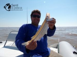 160913 PEJES EMBARCADOS EN EL RIOPLA9