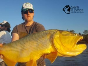 160914 DORADOS EN LA ZONA LODGE10