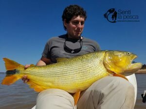 160914 DORADOS EN LA ZONA LODGE5