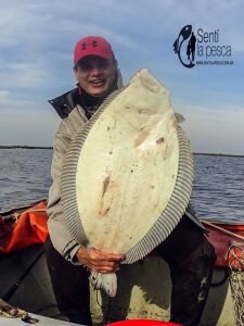 160914 LENGUADOS EN MARCHI1