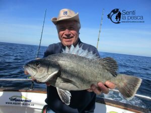 160914 PESCA D EALTURA MDQ1