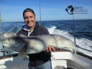 160914 PESCA D EALTURA MDQ3