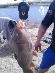 160914 PESCA EN EL RIO SALADO2