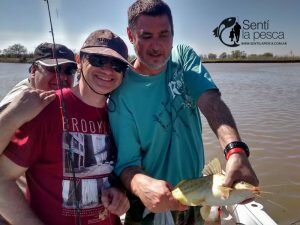 160914 PIQUE EN PAVON1