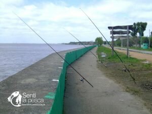 160915 PESCA EN PUNTA LARA