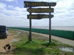 160915 PESCA EN PUNTA LARA (2)