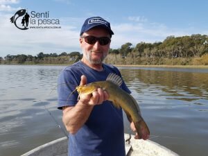 160919 JORNADA EN BALCARSE LA BRAVA11
