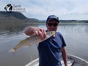 160919 JORNADA EN BALCARSE LA BRAVA4