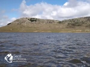 160919 PEJES EN LA BRAVA7
