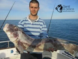 160919 PESCA DE ALTURA EN MDQ1