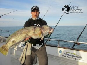 160919 PESCA DE ALTURA EN MDQ4
