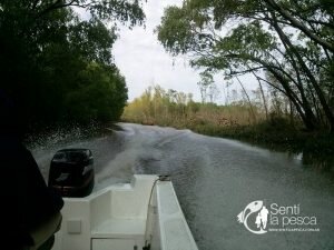 160919 PIQUE en el RIOPLA ZONA NORTE7