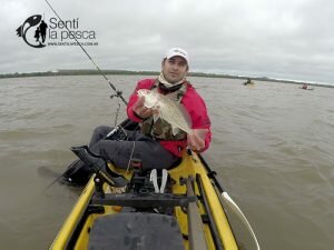160920 CORVINAS EN KAYAK6