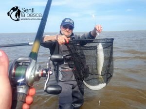 160920 LISAS EN ALBUFERA DE MARCHI10