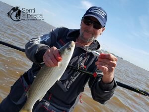 160920 LISAS EN ALBUFERA DE MARCHI12