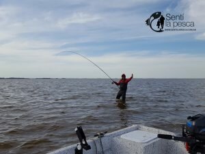 160920 LISAS EN ALBUFERA DE MARCHI7