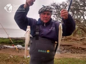 160920 PEJES DE COSTA EN EL RIOPLA4