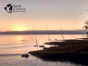 160920 PEJES DE COSTA EN EL RIOPLA5